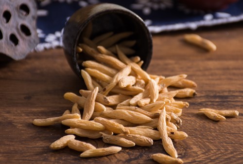 麦冬