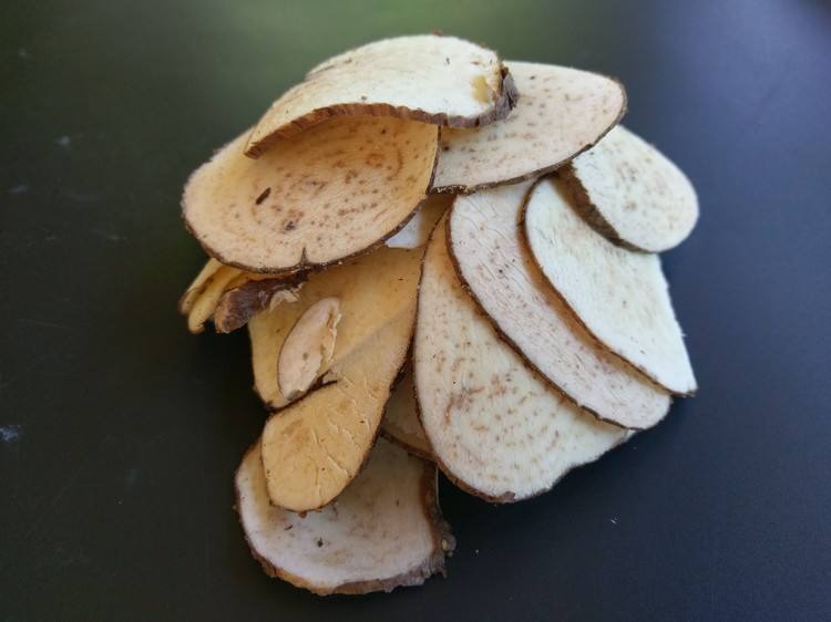 白药子