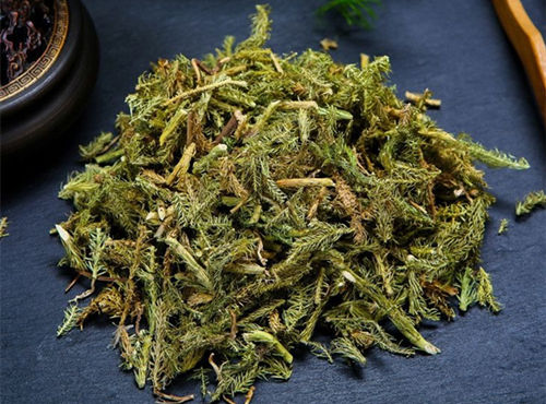 伸筋草