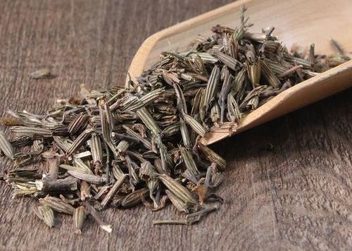北刘寄奴