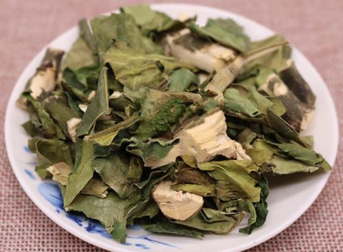 大驳骨