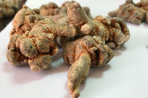 盘龙七