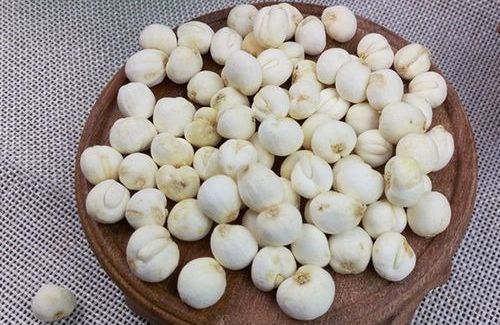 平贝母