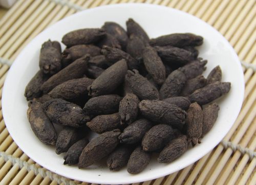 母丁香