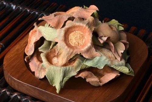 柿蒂
