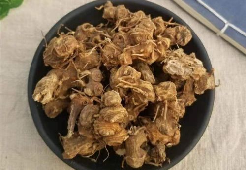 八角莲